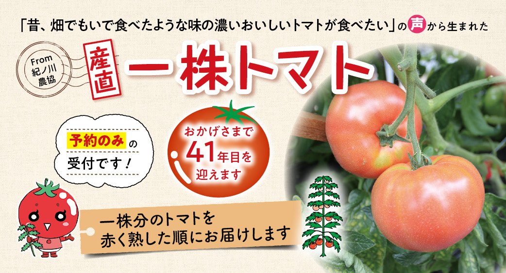一株トマト