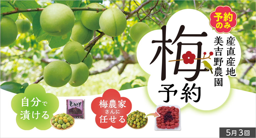 梅予約