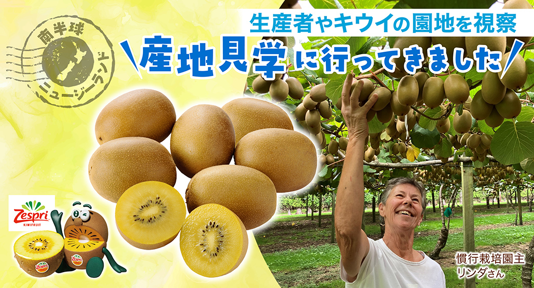 52週主力商品(食品)