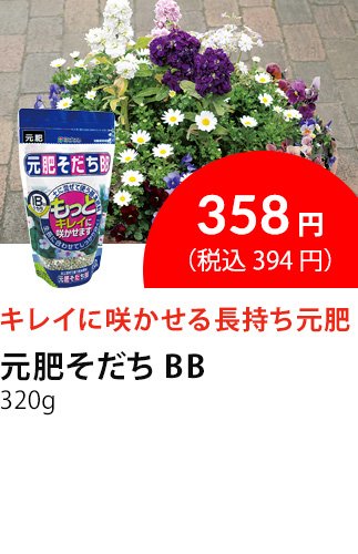イチオシ商品４
