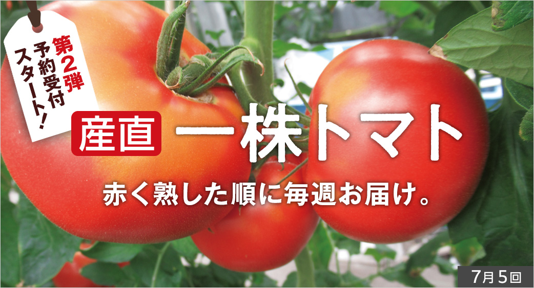 一株トマト