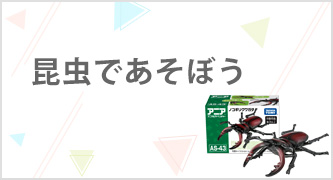 特集カテゴリ3