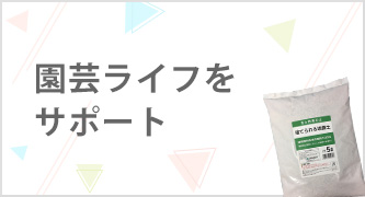 特集カテゴリ3
