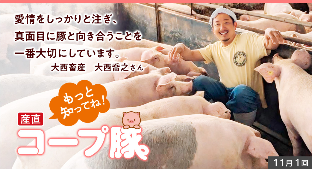 産直ものがたり(コープ豚)