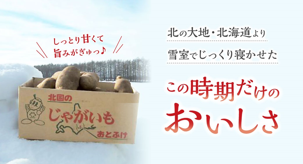 商品おすすめ(北海道の雪室貯蔵北海こがね)