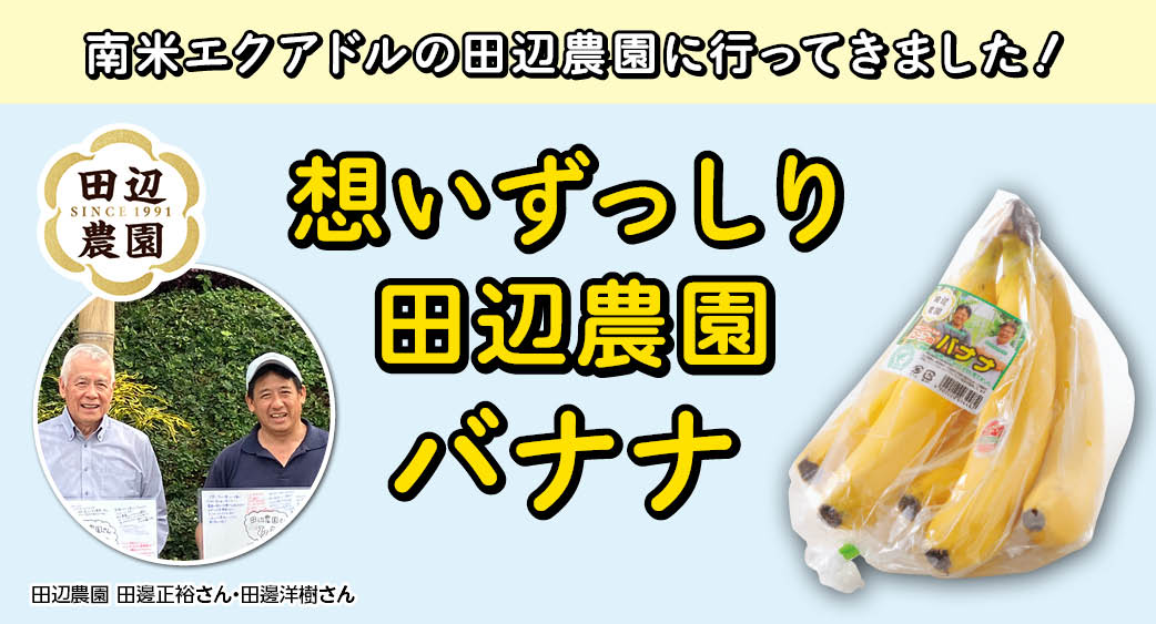 田辺農園バナナ