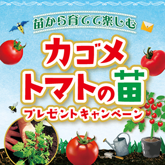 トマトの苗キャンペーン