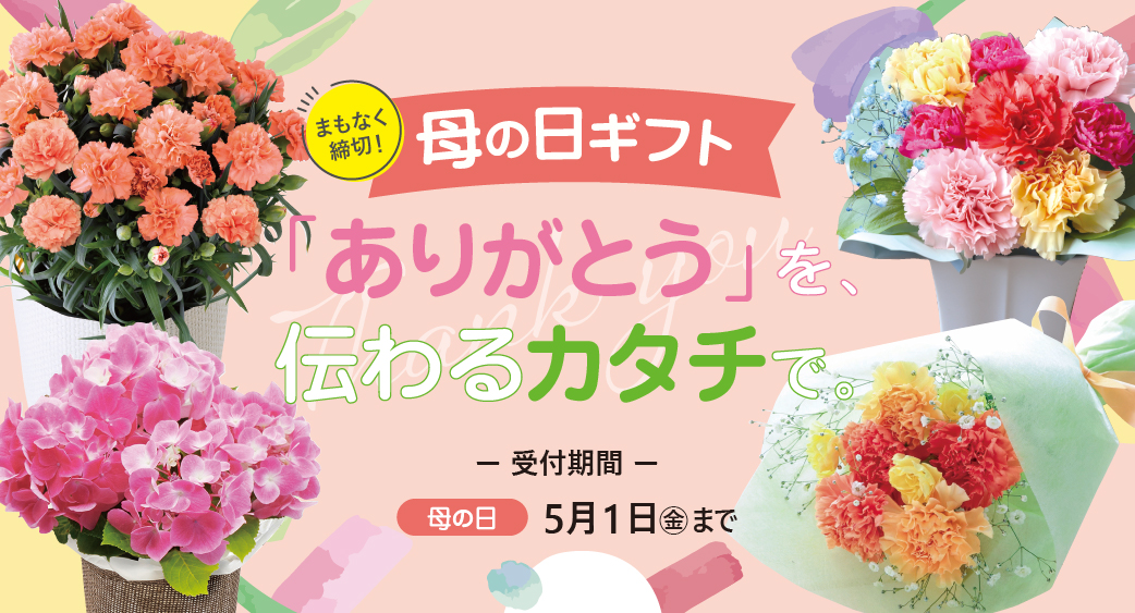 母の日