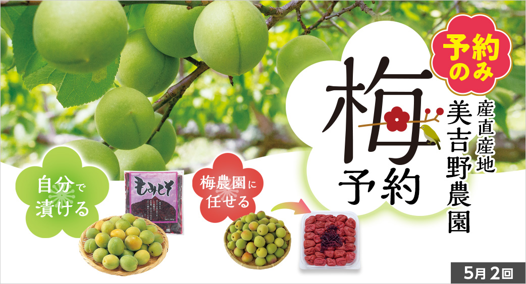 梅予約