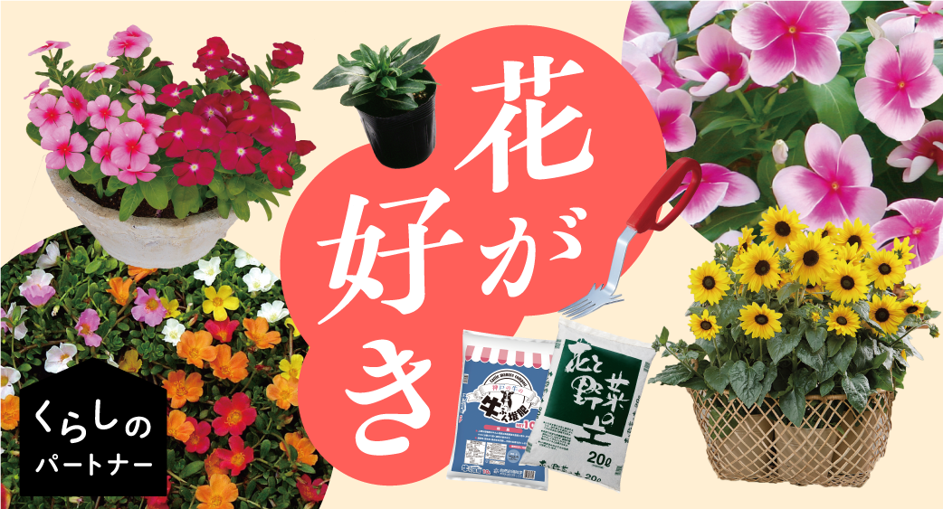 くらぱ