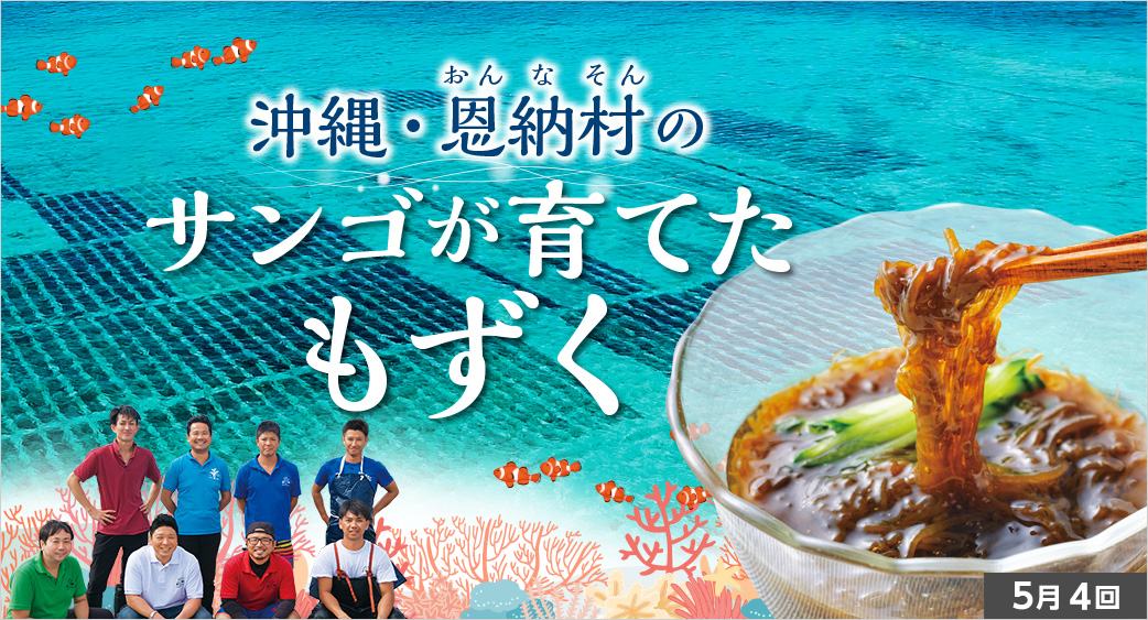 恩納村もずく