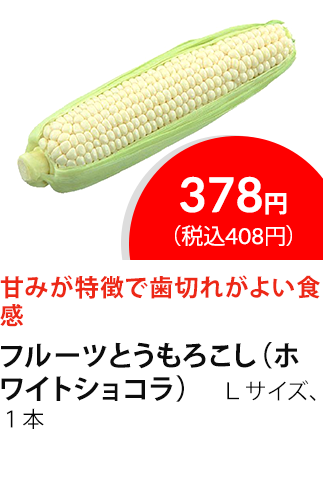 イチオシ商品1