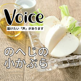 VOICE