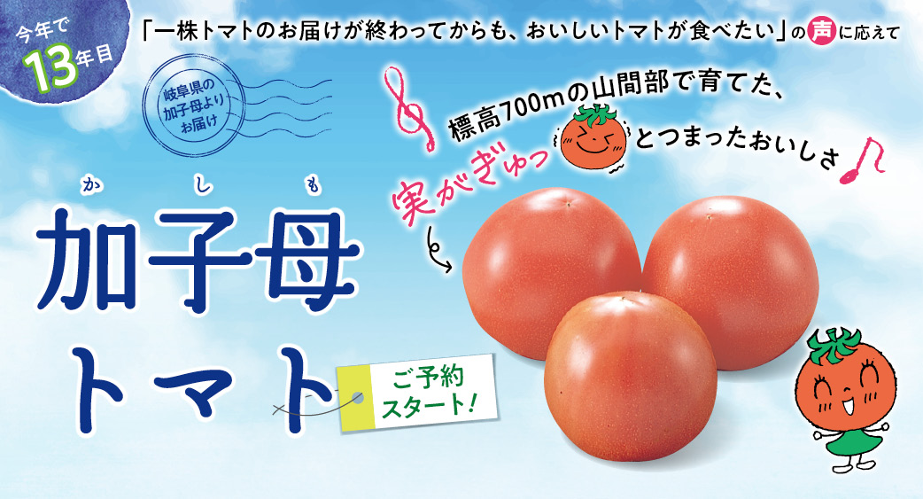 加子母トマト