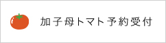 加子母トマト