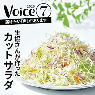 VOICE