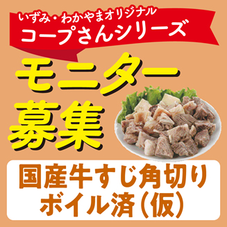 モニター企画