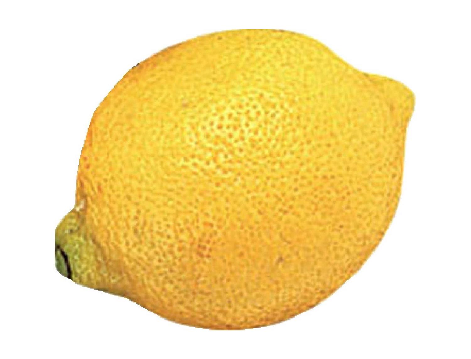 広島レモン（少量）防カビ剤不使用