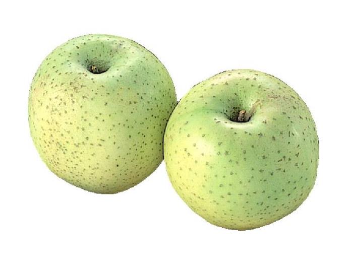 りんご（王林）糖度１４度選別