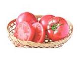 毎週）【ふぞろい】旬のトマト（コープ彩園トマト）