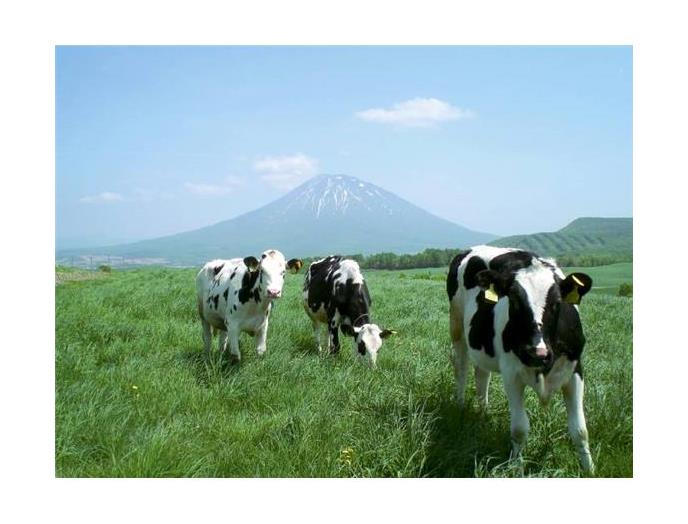 北海道３．７生協牛乳