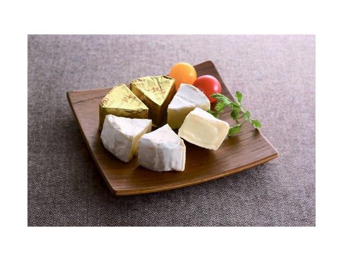 北海道十勝カマンベールチーズ切れてるタイプ