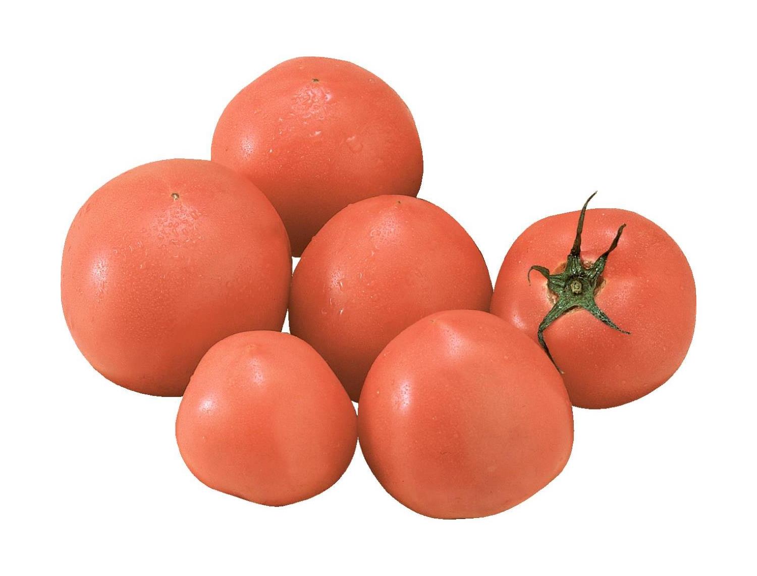 嘉穂のトマト（徳用）