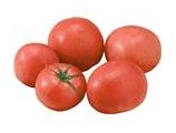 産直トマト