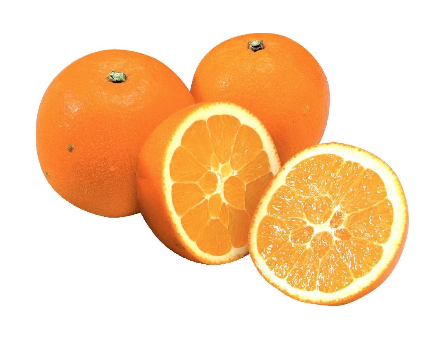 プレミアムスイートネーブルオレンジ（防カビ剤使用）