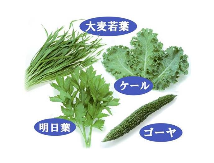 ４種の九州産野菜使用青汁