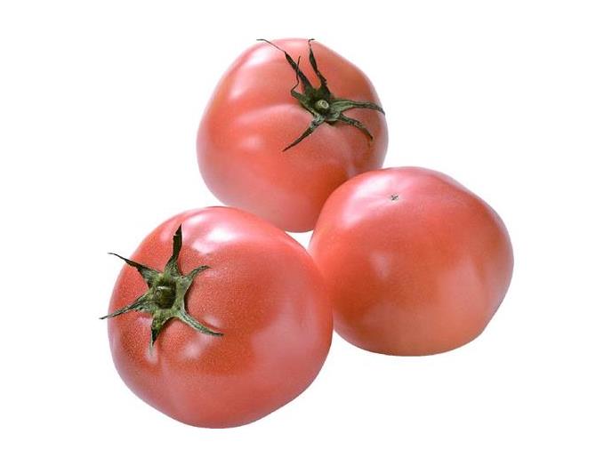 樹熟びらとりトマト