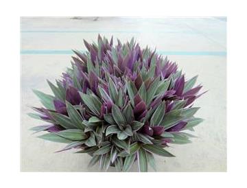 ※画像はイメージです。