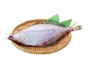 ざる：直径約24cm