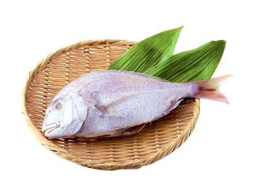 ざる：直径約23ｃｍ