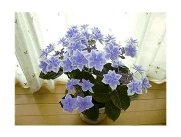 ※画像はイメージです。