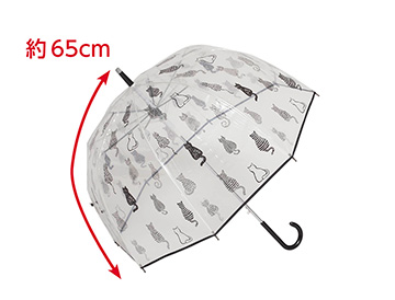 約６５ｃｍ