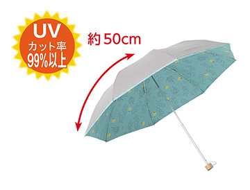 約５０ｃｍ　ミニプランツ