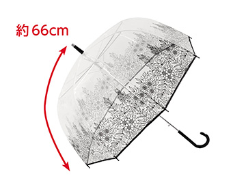 約６６ｃｍ