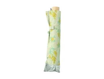 約３１ｃｍ　クリーム