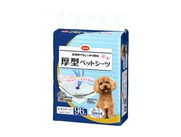 レギュラー
