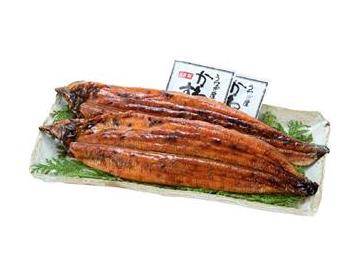 皿：長さ約31.5cm