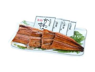 皿：長さ約24.5cm