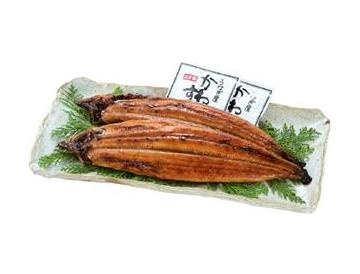 皿：長さ約31.5cm