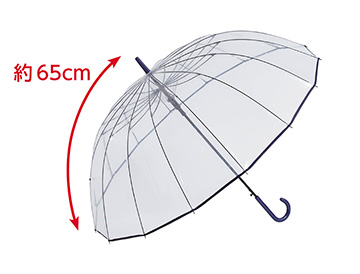 約６５ｃｍ