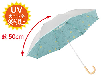約５０ｃｍ　ミニプランツ