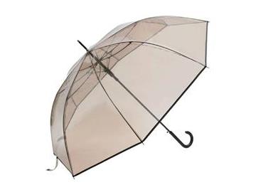 約６５ｃｍ