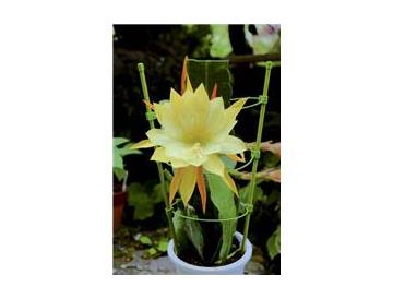 ※画像はイメージです。