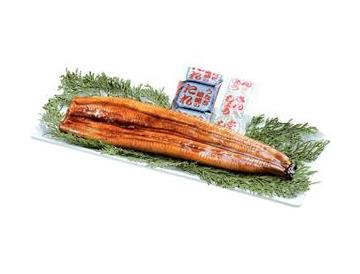 皿：長さ約31ｃｍ
