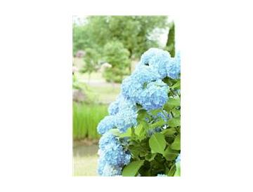 ※画像はイメージです。