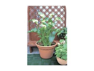 ※画像はイメージです。